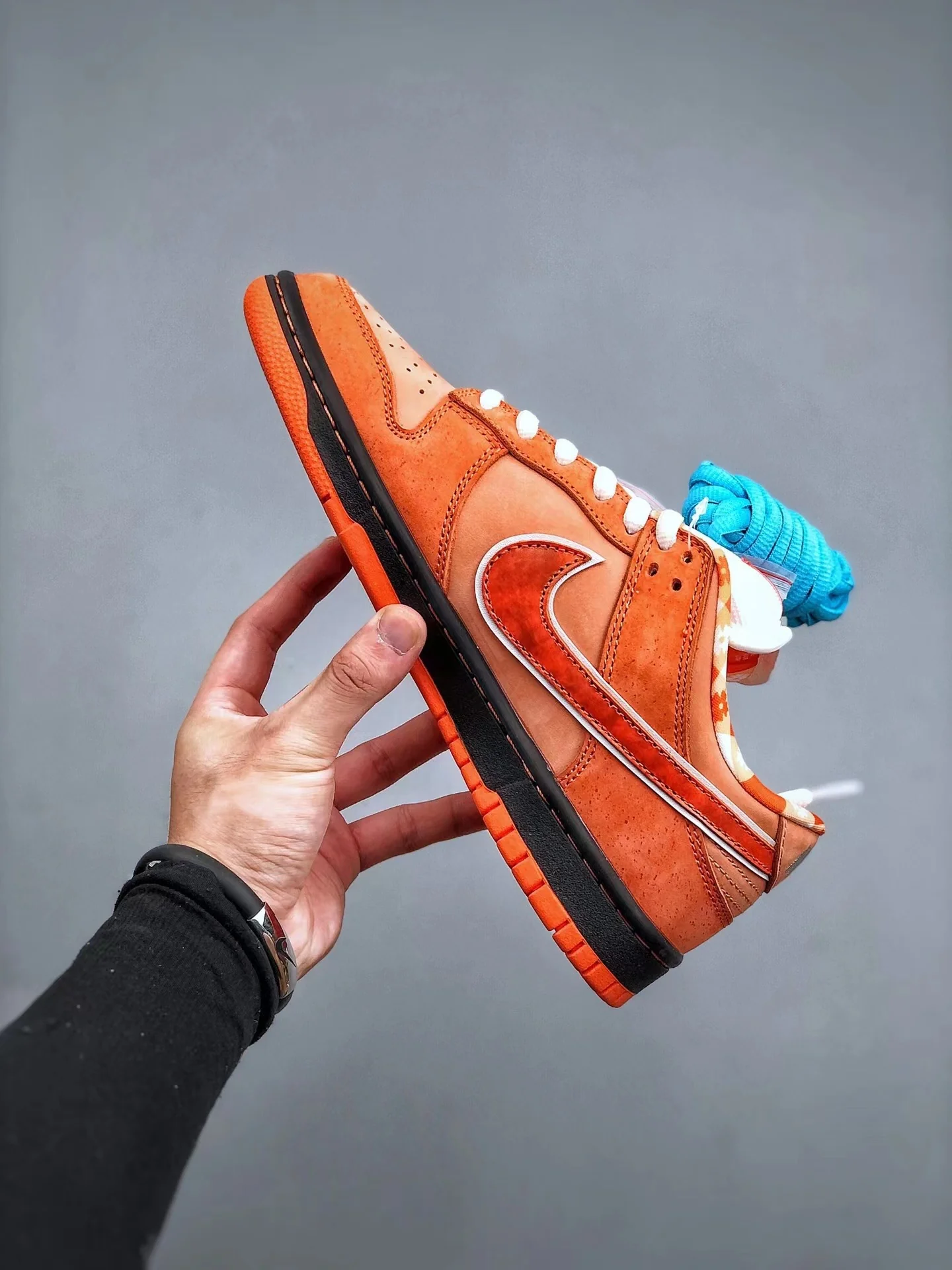 Concepts SB Dunk Low Orange Lobster - Image 3