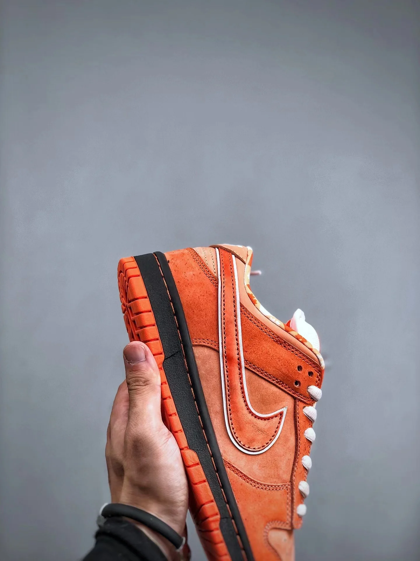 Concepts SB Dunk Low Orange Lobster - Image 7
