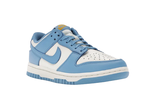 SB Dunk Coast - Image 5