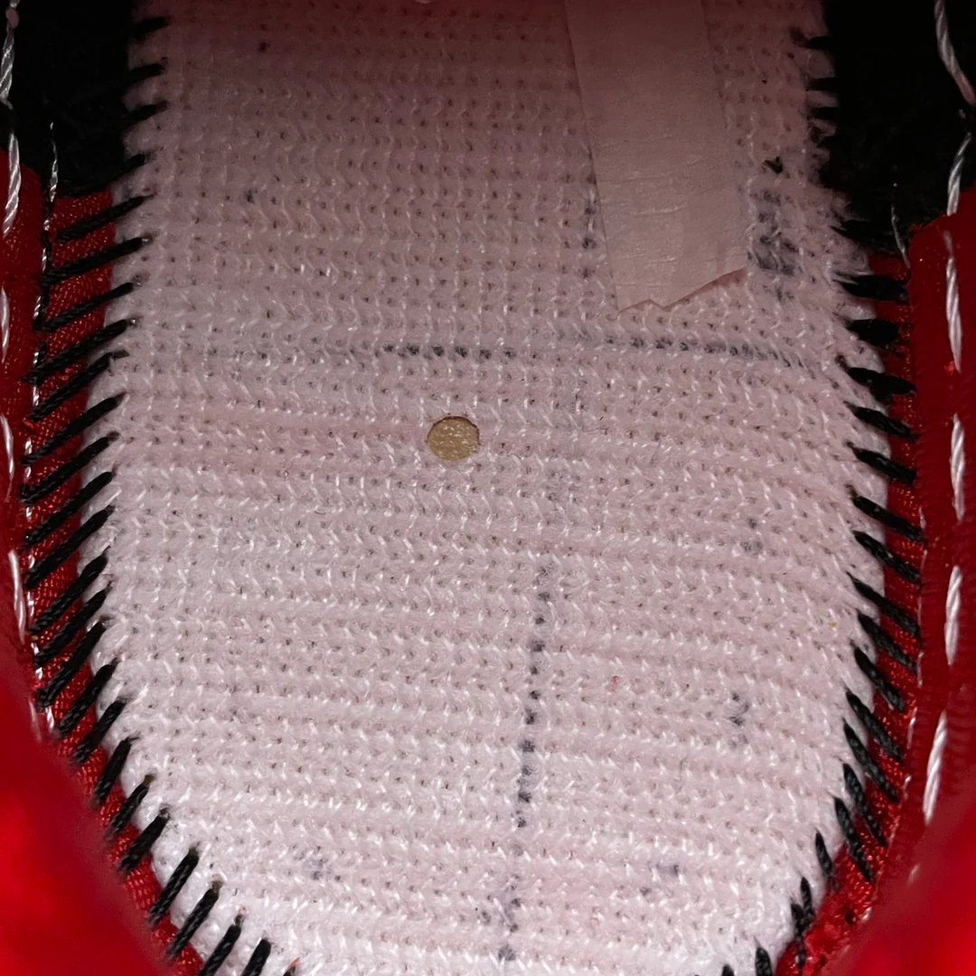 SB Dunk Low WT-Paul - Image 10